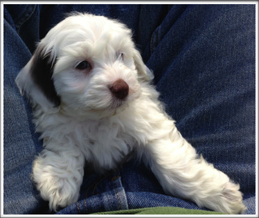 First day in new home-1 First day in new home-1